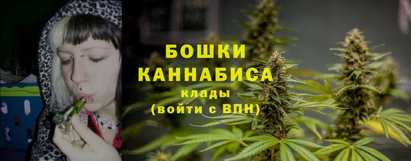 бошки Балахна